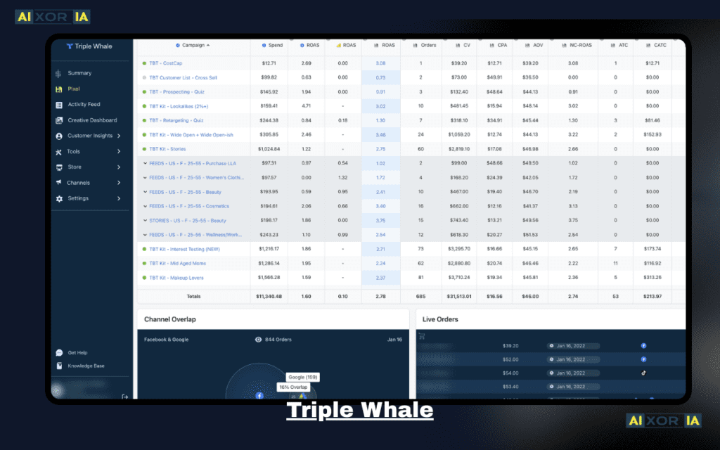 Triple Whale